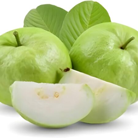 IOM Fresh Guava ताज़ा अमरूद