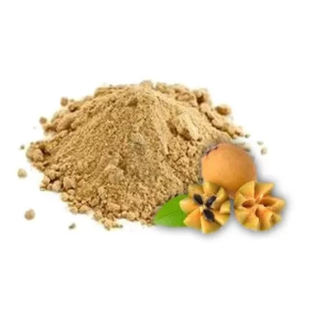 IOM Dried Sapota Powder सूखे चीकू का पाउडर 100 Grams